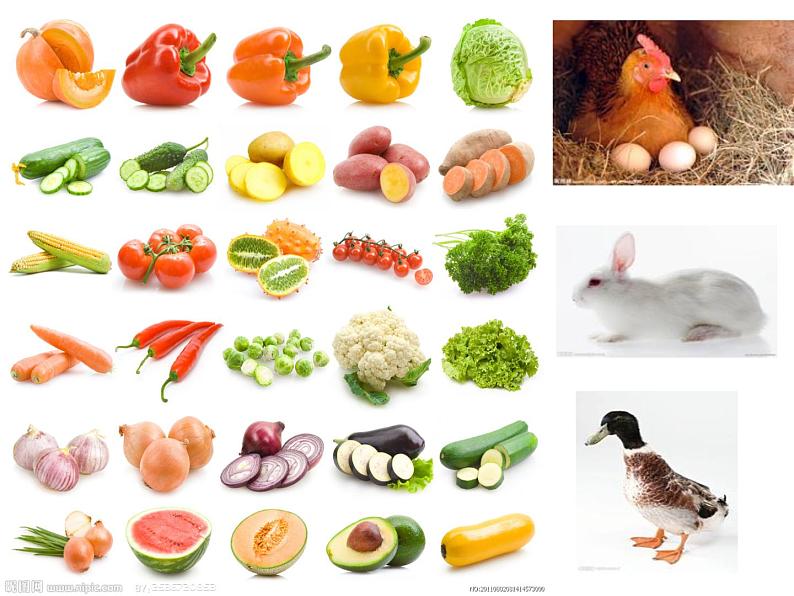 湘艺版一年级音乐（演唱）买菜 课件 (4)第3页