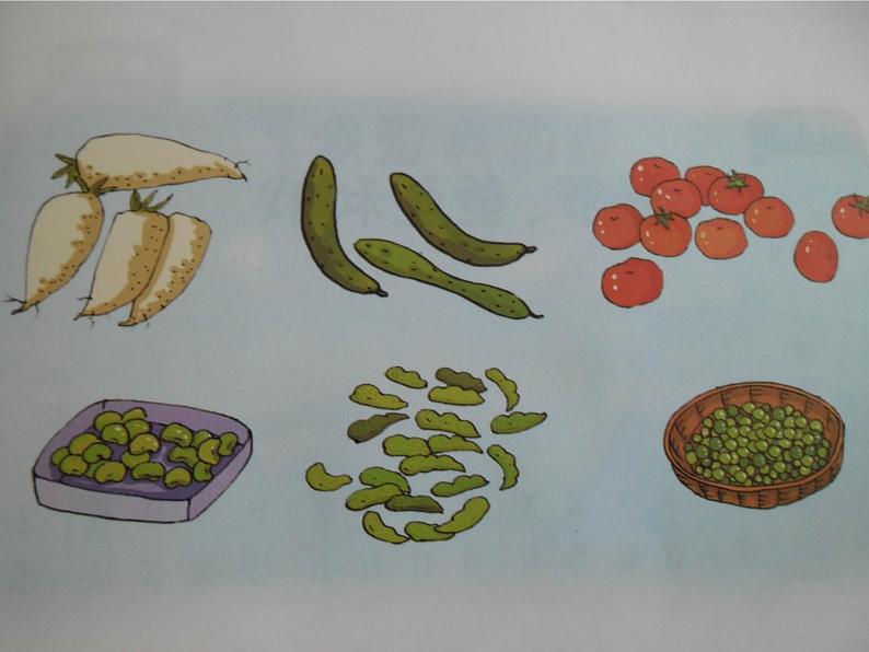 湘艺版一年级音乐（演唱）买菜 课件 (4)第6页