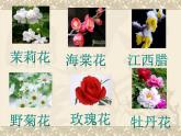 二年級下冊音樂課件-打花巴掌1_人教新課標(biāo)（2014秋）