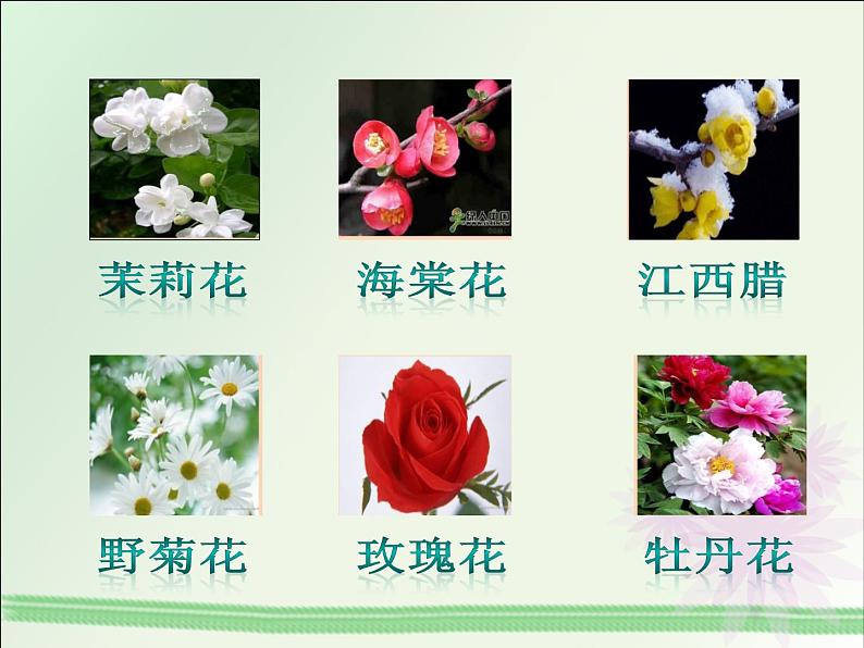 二年级下册音乐课件-第六单元  打花巴掌  人教版 (共13张PPT)07