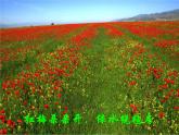 六年級(jí)上冊(cè)音樂課件第二單元 美麗的夏牧場(chǎng) 人教新課標(biāo)（2014秋） (共32張PPT)