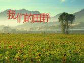 四年級上冊音樂課件－3.1唱歌 我們的田野 ｜人教新課標（2014秋）  (共26張PPT)