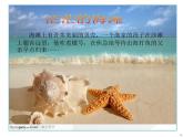 四年级上册音乐课件－1.5唱歌 小螺号 ｜人教新课标（2014秋）  (共14张PPT)