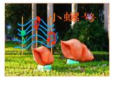 四年级上册音乐课件－1.5唱歌 小螺号 ｜人教新课标（2014秋）  (共14张PPT)