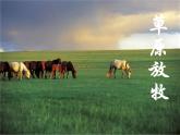 四年級(jí)上冊(cè)音樂課件－第二單元《草原放牧》｜人教新課標(biāo)（2014秋）   (共17張PPT)