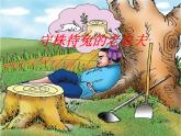 四年級上冊音樂課件-2.4唱歌 守株待兔的老農(nóng)夫   人教新課標(biāo)