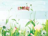 四年級下冊音樂課件－4.3 紅蜻蜓 ｜人教新課標  (共13張PPT)