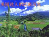 四年级下册音乐课件－1.4少先队员采茶歌 ｜人教新课标   (共33张PPT)