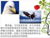 四年级下册音乐课件－4.5.1飞驰的鹰  ｜人教新课标   (共33张PPT)