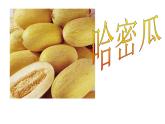 一年级上册音乐课件－第2单元《娃哈哈》｜人教新课标（2014秋）  (共8张PPT)