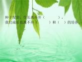 一年级下册音乐课件-《小雨沙沙沙》03_人教新课标（2014秋）