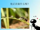 一年級下冊音樂課件-《小螞蟻》03_人教新課標（2014秋）