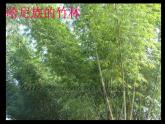 一年级下册音乐课件－5.1其多列 ｜人教新课标（2014秋） (共18张PPT)