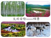 一年级下册音乐课件－5.3勇敢的鄂伦春 ｜人教新课标（2014秋） (共19张PPT)