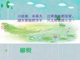 一年级下册音乐课件-柳树姑娘_人教新课标版（2014秋）