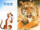 小學(xué)二年級(jí)下冊(cè)音樂-《老虎磨牙》3人音版(簡(jiǎn)譜)(10張)ppt課件