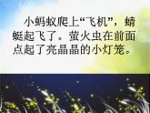 小学二年级下册音乐-第11课《美丽的夏夜》--湘教版(11张)ppt课件
