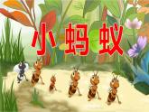 小學音樂一年級下冊唱歌《小螞蟻》課件PPT