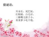 花城版一年级上册音乐 第12课 歌曲《小兔子乖乖》_（课件）