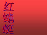 四年級下冊紅蜻蜓課件PPT