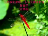 四年級下冊紅蜻蜓課件PPT