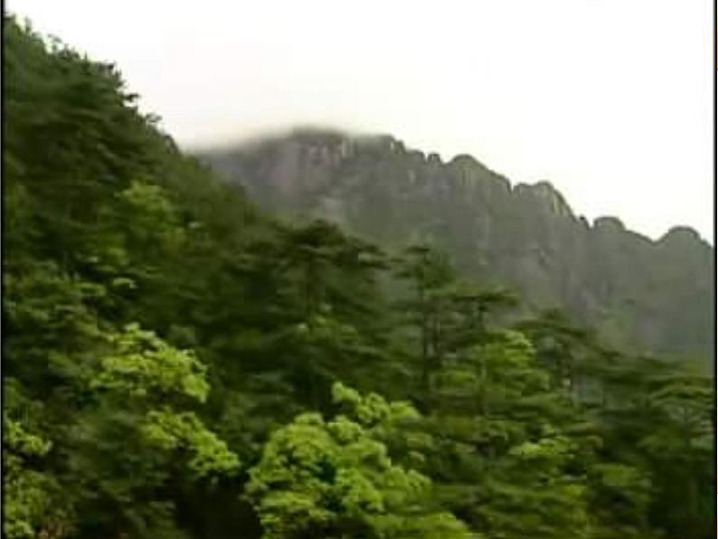 人音小学音乐三下《3空山鸟语》PPT课件 (5)02