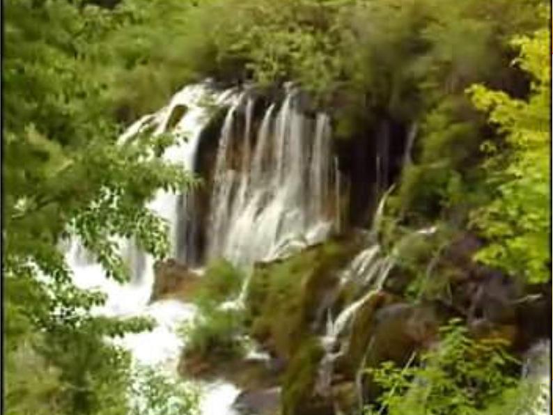 人音小学音乐三下《3空山鸟语》PPT课件 (5)03