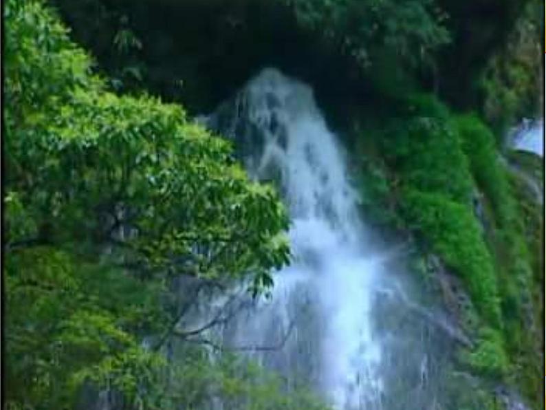 人音小学音乐三下《3空山鸟语》PPT课件 (5)04