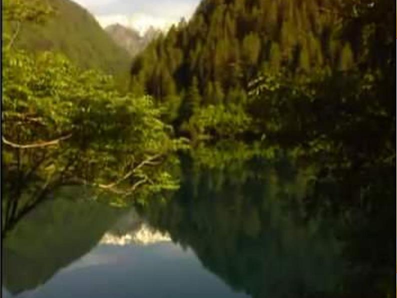 人音小学音乐三下《3空山鸟语》PPT课件 (5)07