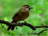 人音小學(xué)音樂三下《2一只鳥仔》PPT課件 (6)