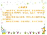 人音小學(xué)音樂(lè)三下《3頑皮的杜鵑》PPT課件 (5)