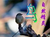 人音小學(xué)音樂三下《2一只鳥仔》PPT課件 (3)