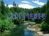 人音小學(xué)音樂三下《2一只鳥仔》PPT課件 (3)