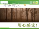 人音小學(xué)音樂(lè)三下《3空山鳥語(yǔ)》PPT課件 (1)