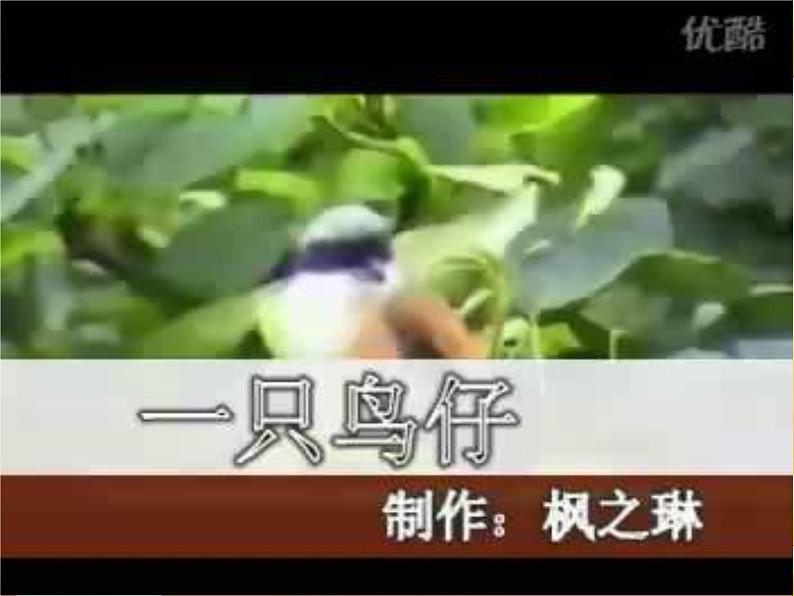 人音小学音乐三下《2一只鸟仔》PPT课件 (4)02