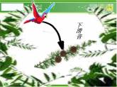 人音小學(xué)音樂三下《2一只鳥仔》PPT課件 (4)