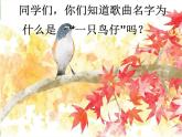 人音小學(xué)音樂三下《2一只鳥仔》PPT課件 (2)