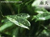 人音小學(xué)音樂(lè)五下《1春雨蒙蒙地下》PPT課件 (2)