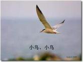 人音小學(xué)音樂(lè)五下《1小鳥(niǎo)小鳥(niǎo)》PPT課件