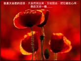 人音小学音乐五下《6花之歌》PPT课件 (2)