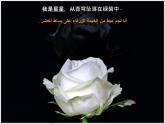 人音小学音乐五下《6花之歌》PPT课件 (2)