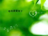 人音小學(xué)音樂(lè)五下《1春雨蒙蒙地下》PPT課件 (3)