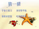 湘艺版二年级下册音乐 第九课 螃蟹歌_（课件）