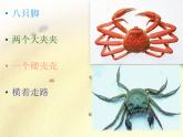 湘艺版二年级下册音乐 第九课 螃蟹歌_（课件）