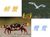 湘艺版二年级下册音乐 第九课 （歌表演）螃蟹歌(10)（课件）