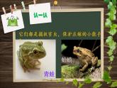 湘艺版二年级下册音乐 第九课 （演唱）数蛤蟆（课件）