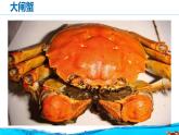 湘艺版二年级下册音乐 第九课 （歌表演）螃蟹歌(5)（课件）