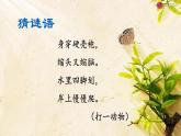 湘艺版二年级下册音乐 第二课 （歌表演）小乌龟飞上天（课件）