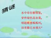 湘藝版二年級(jí)下冊(cè)音樂 第九課 （演唱）數(shù)蛤蟆(5)（課件）