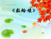湘藝版二年級(jí)下冊(cè)音樂 第九課 （演唱）數(shù)蛤蟆(1)（課件）